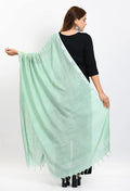 Mint Green Pure Linen Dupatta with Silver Zari Border